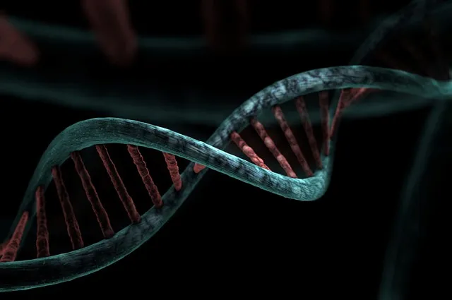 DNA strand